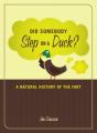 Did Somebody Step On A Duck? - Preview