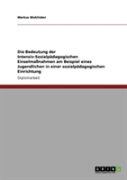 Die Bedeutung Der Intensiv-Sozialpadagogischen Einzelmanahmen Am Beispiel Eines Jugendlichen In Einer Sozialpadagogischen Einrichtung