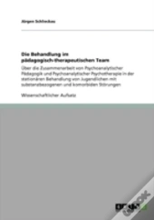 Die Behandlung Im Paã‚Â¤Dagogisch-Therapeutischen Team