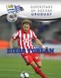 Diego Forlan - Preview