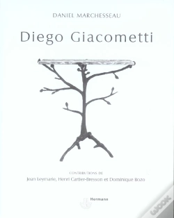 Capa do artigo Diego Giacometti