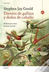 Capa do artigo Dientes De Gallina Y Dedos De Caballo