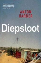 Capa do artigo Diepsloot