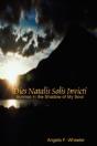 Dies Natalis Solis Invicti - Preview