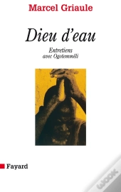 Dieu D'Eau : Entretiens Avec Ogotemmeli