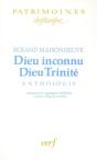 Dieu Inconnu, Dieu Trinité - Preview