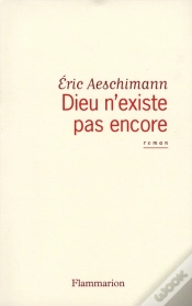 Capa do artigo Dieu N