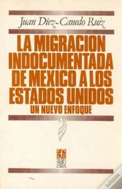 Capa do artigo Diez-Migracion Indocumentada