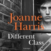 Capa do artigo Different Class