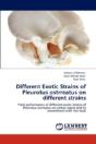 Different Exotic Strains Of Pleurotus Ostrreatus On Different Strains - Preview
