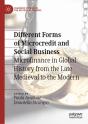 Different Forms Of Microcredit And Social Business - Preview