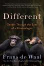 Different - Preview