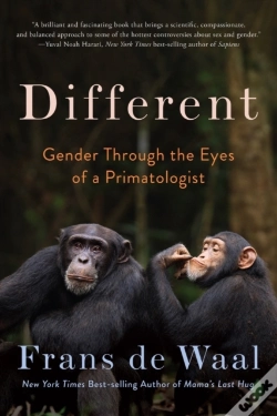 Capa do artigo Different