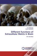 Different Functions Of Extracellular Matrix In Brain