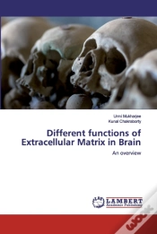 Capa do artigo Different Functions Of Extracellular Matrix In Brain