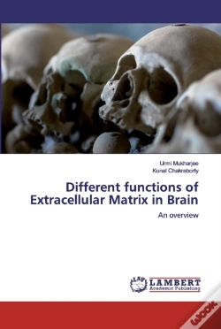 Capa do artigo Different Functions Of Extracellular Matrix In Brain