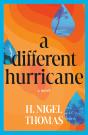 Different Hurricane - Preview