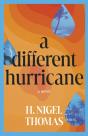 Different Hurricane - Preview
