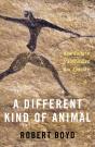 Different Kind Of Animal - Preview