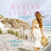 Capa do artigo Different Light