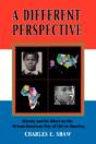 Different Perspective - Preview