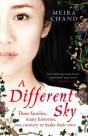 Different Sky - Preview