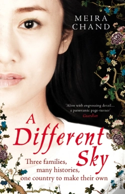 Capa do artigo Different Sky