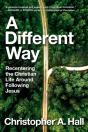 Different Way - Preview