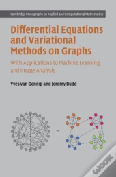 Differential Equations And Variational Methods On Graphs