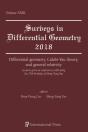 Differential Geometry, Calabi-Yau Theory, And General Relativity - Preview