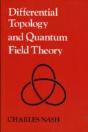 Differential Topology And Quantum Field Theory - Preview
