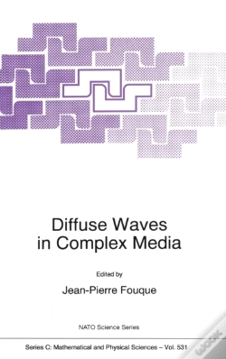 Capa do artigo Diffuse Waves In Complex Media