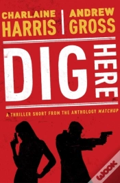 Capa do artigo Dig Here