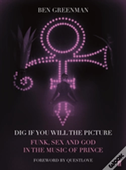 Capa do artigo Dig If You Will The Picture