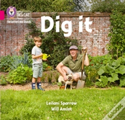 Capa do artigo Dig It