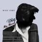 Dig My Mood - Vinil - Preview