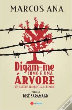 Capa do artigo Digam-me Como É Uma Árvore