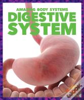 Digestive System