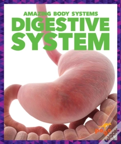 Capa do artigo Digestive System