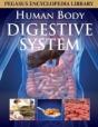 Digestive System - Preview