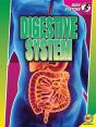 Digestive System - Preview