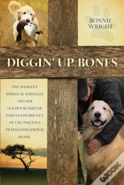 Capa do artigo Diggin