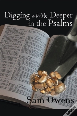 Capa do artigo Digging A Little Deeper In The Psalms