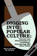 Digging Into Popular Culture