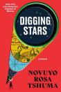 Digging Stars - Preview