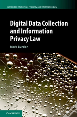 Capa do artigo Digital Data Collection And Information Privacy Law