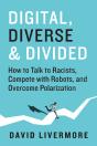 Digital, Diverse & Divided - Preview