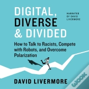 Capa do artigo Digital, Diverse & Divided