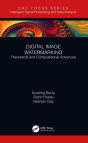 Digital Image Watermarking - Preview