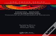 Digital Image Watermarking